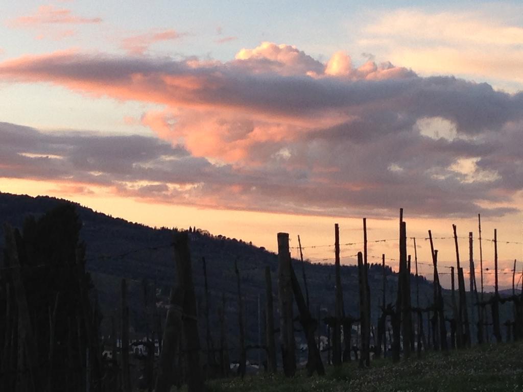 Casale Le Masse Greve in Chianti Eksteriør bilde